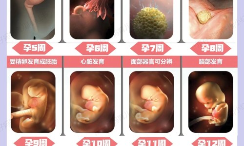 孕期脸上突然长红点-孕期脸上长了红点点怎么回事网 - 网站提供孕期脸上长了红点点怎么回事图片小常识、怀孕后脸上长红疙瘩